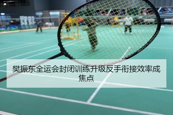 樊振东全运会封闭训练升级反手衔接效率成焦点
